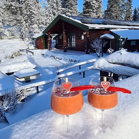 Davita Ranch Horská chata