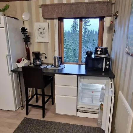 Davita Ranch Horská chata