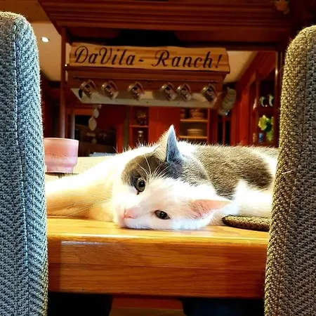 Davita Ranch *