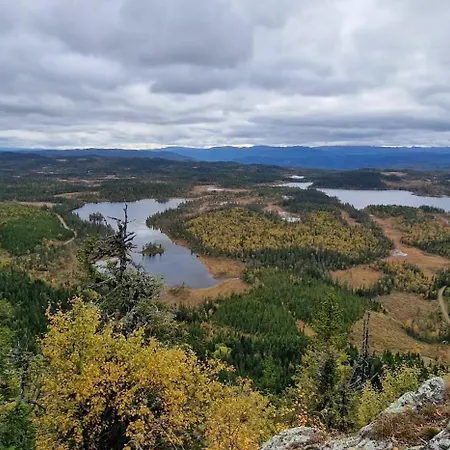 Davita Ranch Tranhaug