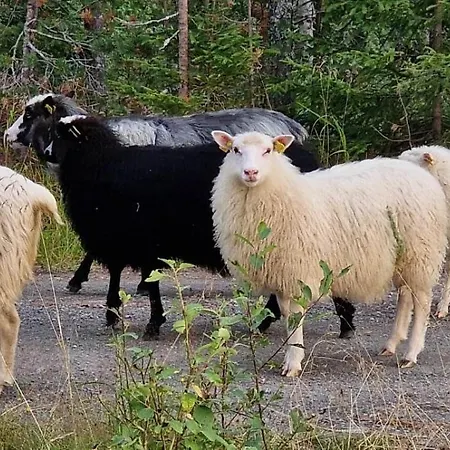 Horská chata Davita Ranch Tranhaug