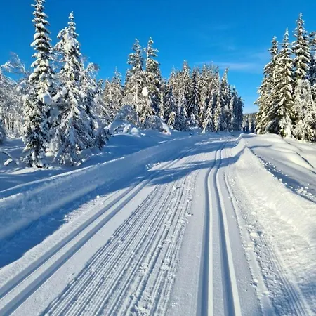 Davita Ranch Horská chata *