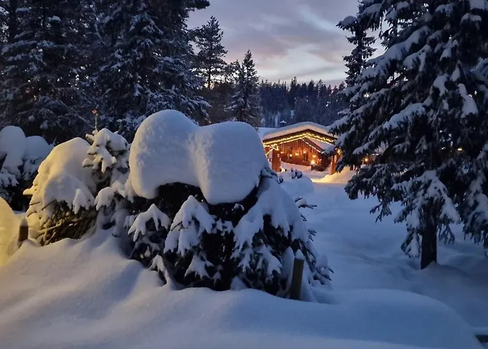 Alpstuga Davita Ranch Tranhaug