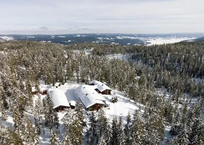 Davita Ranch Alpstuga